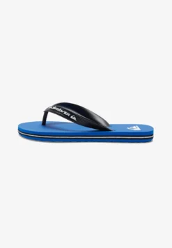 Quiksilver MOLOKAI CORE - Bade-Zehentrenner - Blue